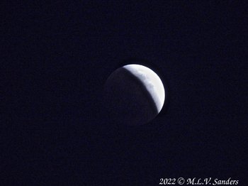 The May 15, 2022 lunar eclipse as it started.