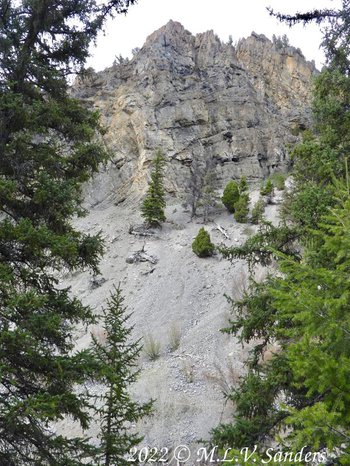 Cliffs along the Hoback River near Stinking Spring.