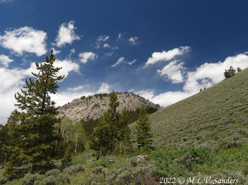 above the Sacajawea Campground, Bridger Teton National Forest