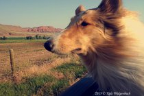 roaming-wyoming_Kyle-honeyroaminwyoming.jpg