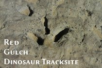 roaming-wyoming_red-gulch-dinosaur-tracksite_photo_00.jpg