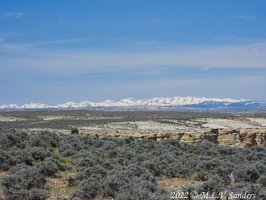 At the top of the ridge we saw the snow covered mountains of the  Gros Ventre Range.